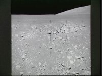 10075745.JPG