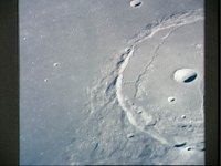 10075722.JPG