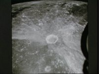 10075718.JPG