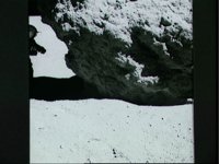 10075853.JPG