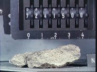 10076009.JPG
