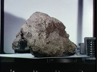 10076007.JPG