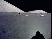10075956.JPG