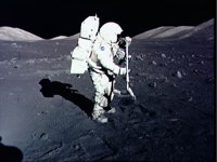 10075954.JPG