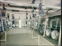 10074740.JPG
