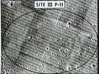10074657.JPG