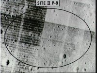 10074655.JPG