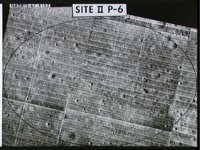 10074654.JPG