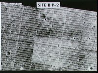 10074653.JPG