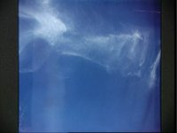 10074171.JPG