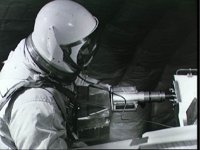 10074290.JPG