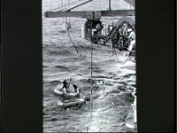 10074457.JPG