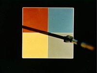 10074440.JPG