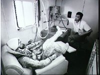 10073491.JPG
