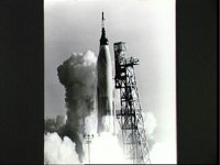 10073729.JPG