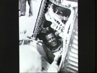 10073813.JPG