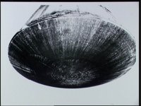 10073436.JPG