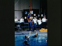 10062877.JPG