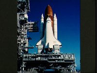 10063061.JPG