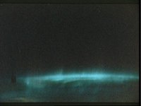 10063145.JPG