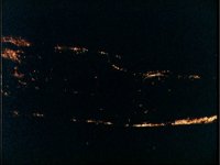 10063869.JPG