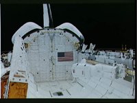 10064046.JPG