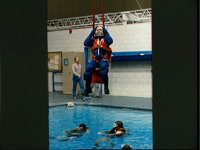 10064124.JPG