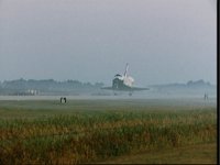 10061786.JPG