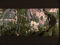10061857.JPG