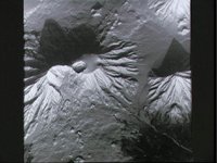 10064516.JPG