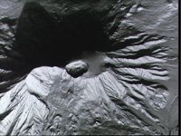 10064515.JPG