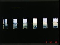 10064494.JPG