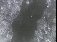10064674.JPG