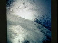 10064977.JPG
