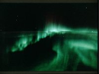 10064970.JPG