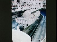 10064940.JPG