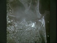 10065051.JPG