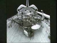 10065040.JPG