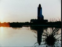 10065022.JPG