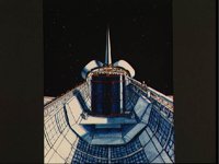 10061899.JPG