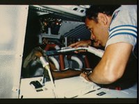 10061977.JPG