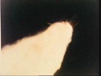10062370.JPG