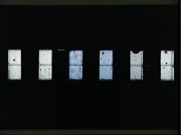 10065333.JPG