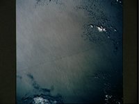 10065479.JPG