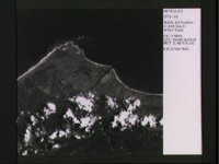 10072691.JPG