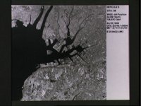 10072690.JPG
