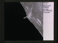 10072689.JPG