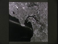 10072686.JPG