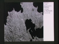 10072676.JPG