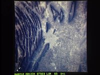 20120961.JPG